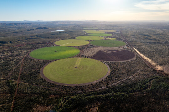 Aerial view of circular centre-pivot irrigation fields on red earth surrounded by arid scrubland