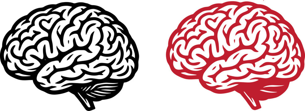 A comparative illustration showing two stylized human brains side by side in different styles