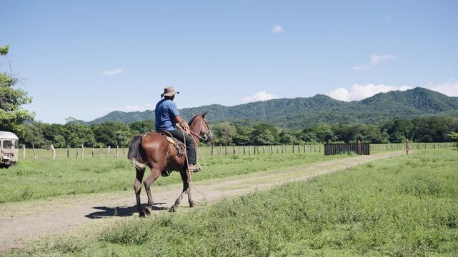 Young hispanic farmer riding a beautiful brown horse. The man is wearing a cowboy hat while training his stallion in a green pasture