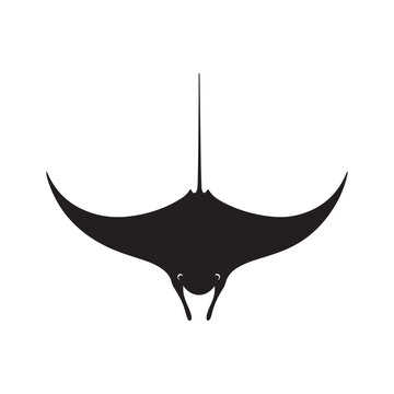 Black manta ray silhouette collection, stingray swimming poses vector illustration set for ocean marine life, underwater wildlife, aquarium, and nature design.