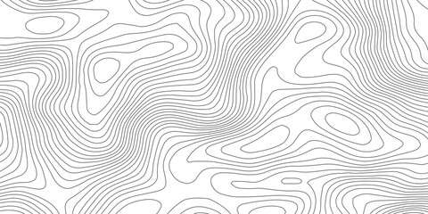 Minimal White Topographic Contour Line Background with Light Gray Elevation Curves, Abstract Terrain Map Pattern and Modern Geographic Design Texture. © Hasan
