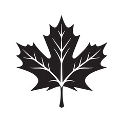 Fototapeta premium Maple leaf. Linear, silhouette isolated on white background. Vector illustration