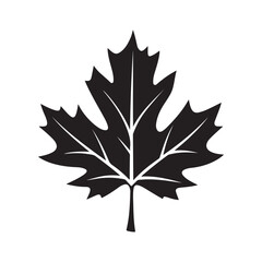 Fototapeta premium Maple leaf. Linear, silhouette isolated on white background. Vector illustration