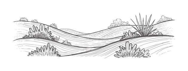 Hand drawn rolling hills with sparse vegetation and textured lines landscape grass © Tofaas