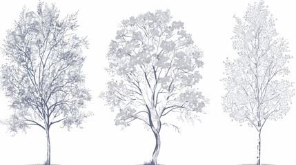 Fototapeta premium A grayscale illustration of three trees on a white background, featuring full foliage