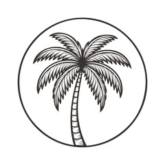 Logo agencia de viajes. Vacaciones de verano. Dibujo sencillo de la palma estilo grabado antiguo  © teracreonte