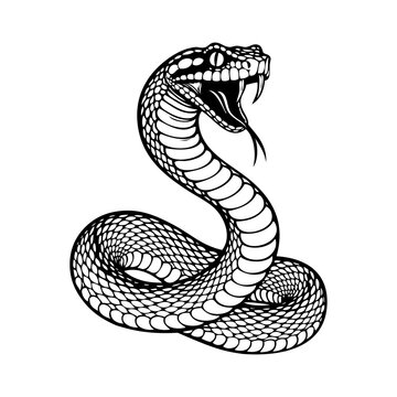 Dibujo sencillo con l&iacute;neas de una serpiente enojada, con la boca abierta, ense&ntilde;ando los colmillos y la lengua b&iacute;fida	