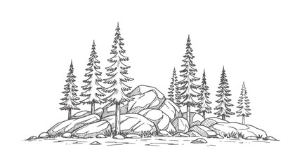 Hand drawn pine trees and rocks in a forest landscape nature © Mosta