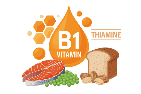 Vitamin B1 thiamine rich foods salmon peas bread nuts health nutrition concept