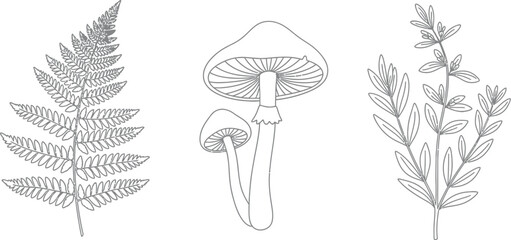 Outline illustration featuring a detailed fern frond, a pair of stylized mushrooms, and a leafy botanical sprig element © Malik 