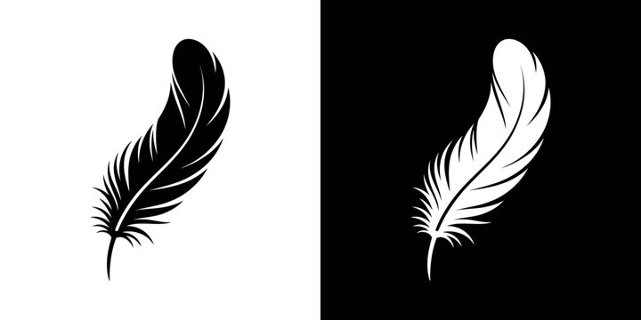Black and white feather silhouettes on contrasting backgrounds