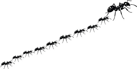Black ant colony line formation silhouette vector illustration isolated on white background insect teamwork concept © Sumona