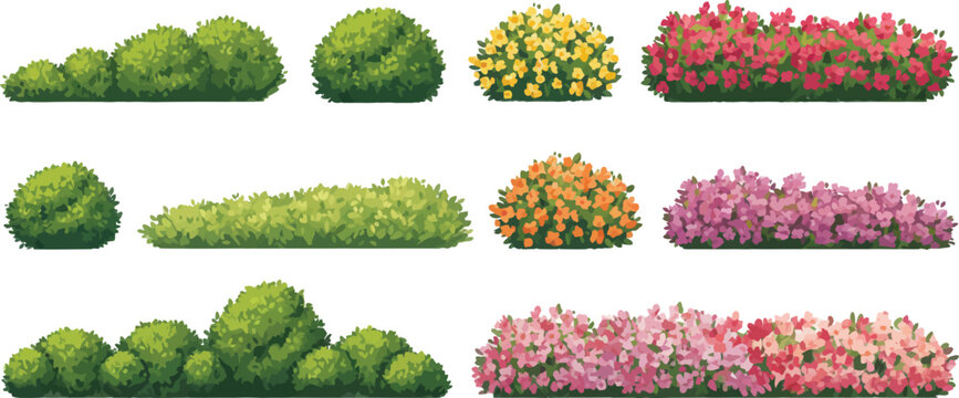 Garden bush and colorful flower hedge vector set landscaping shrubs plants botanical nature illustration isolated design collection