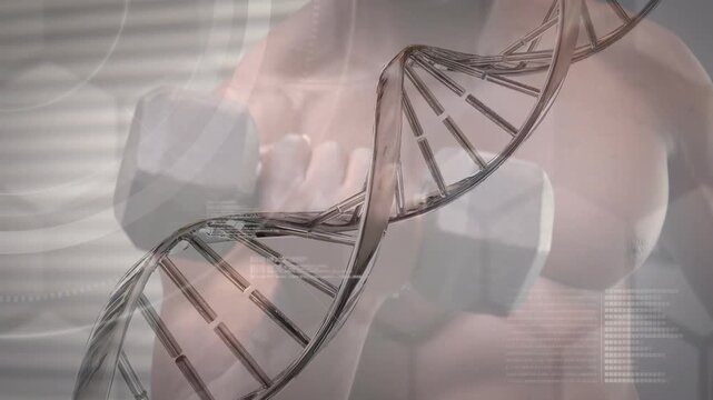 Animation of dna strand spinning over data processing and exercising strongman