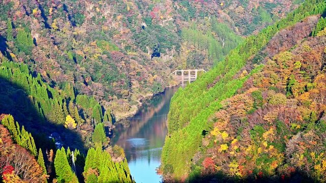 夕刻の壮大な紅葉パノラマ
「日本紅葉百選」にも選ばれた、九州屈指の景勝地のパノラマビュー。地形の力強さと秋の彩りが共存するこの映像は、観光プロモーション、環境ドキュメンタリー、映画のロケーション紹介など、幅広い用途に最適です。
蘇陽峡(長崎鼻展望台)
A magnificent panoramic view of autumn foliage at dusk