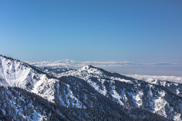 Landscape, winter, trees, nature, snow, mountains, sky, clubs,