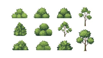 Obraz premium A collection of various green trees and bushes in a natural environment from a graphic design perspective.