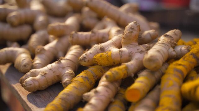 Vibrant organic turmeric roots, essential for traditional food preparation and healthy culinary creations, showcasing their natural golden hue