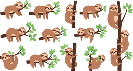 Fototapeta premium Cute sloth cartoon animal vector set adorable jungle wildlife characters hanging and climbing tree branches illustration collection