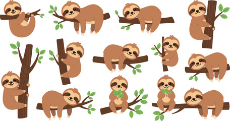 Fototapeta premium Cute sloth cartoon character collection vector set adorable lazy animal hanging on tree branches jungle wildlife illustration