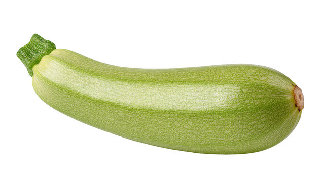 Isolated fresh green zucchini vegetable with ribbed stem and textured skin on a clean studio shot