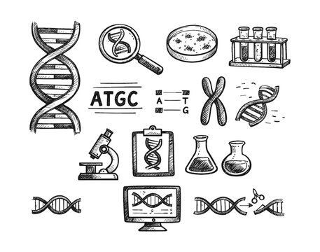 Hand-drawn icons representing genetics, DNA, and scientific research in a doodle style