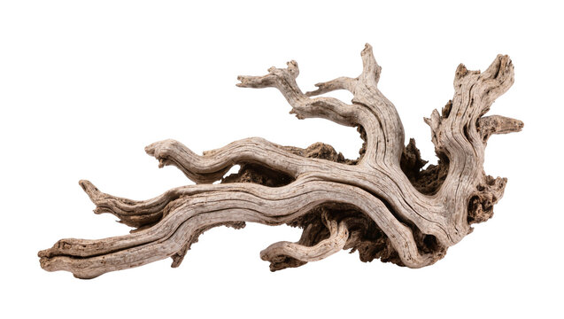 Isolated piece of natural weathered driftwood on a clean white for aquarium design