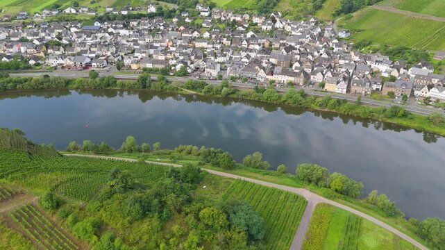 Bremm village and stuben convent ruin, vineyards of Calmont, Moselle Valley, Germany, Mosel river town, Cochem Zell district, aerial panorama view