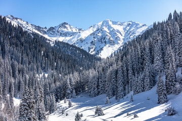 Landscape, winter, trees, nature, snow, mountains, sky, clubs,