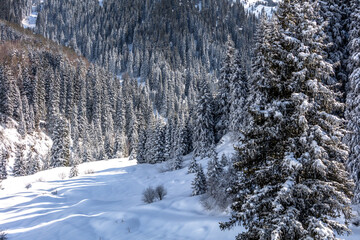 Landscape, winter, trees, nature, snow, mountains, sky, clubs,