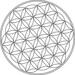 Fototapeta premium Flower of Life Sacred Geometry Mandala Circular Line Pattern