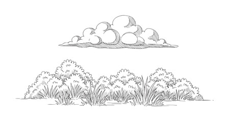 Hand drawn of fluffy clouds above grassy bushes nature © The