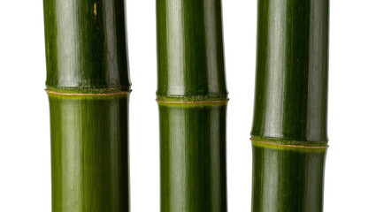 Fototapeta premium Isolated three vibrant green bamboo stalks with natural segments and smooth texture