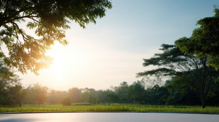 Obraz premium A serene landscape showcasing sunlight filtering through trees, illuminating grassy fields