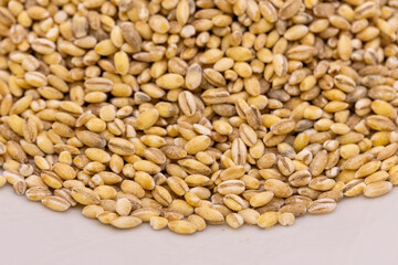 Fototapeta premium Pearl barley grains textured background. Close-up. Macro. Raw peeled cereal pattern, organic pearl barley wallpaper. 