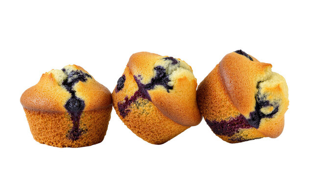 Isolated three delicious freshly baked blueberry muffins, sweet pastry food dessert
