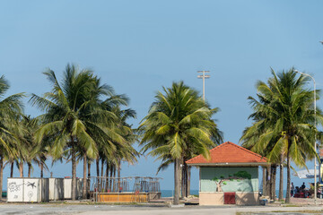 Obraz premium Tropical Beach Landscape with Palm Trees and Small Building in Da Nang, Vietnam