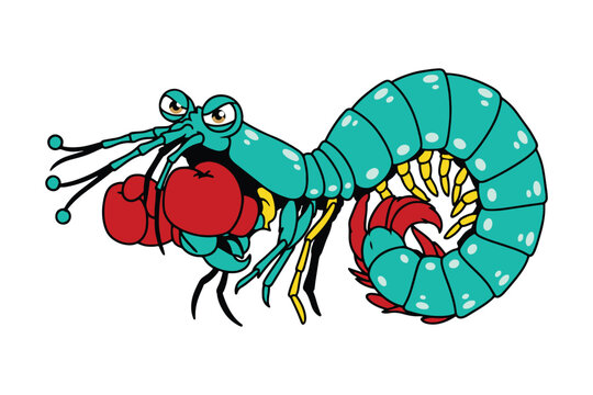 Colorful Boxer Mantis Shrimp Wearing Boxing Gloves, Ready for Action and mantis punch