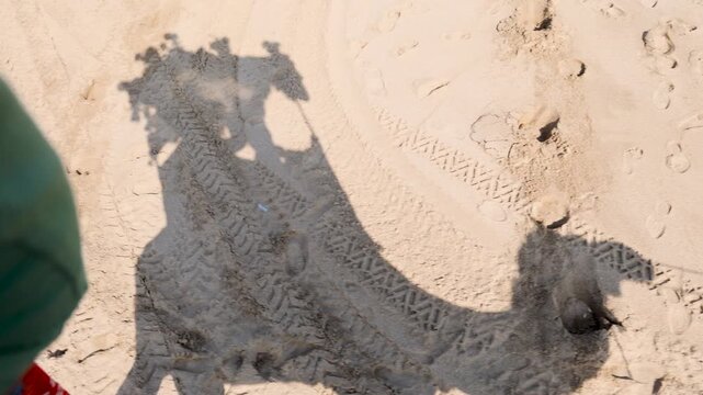 silhouette shadow of camel caravan on sandy desert ground
