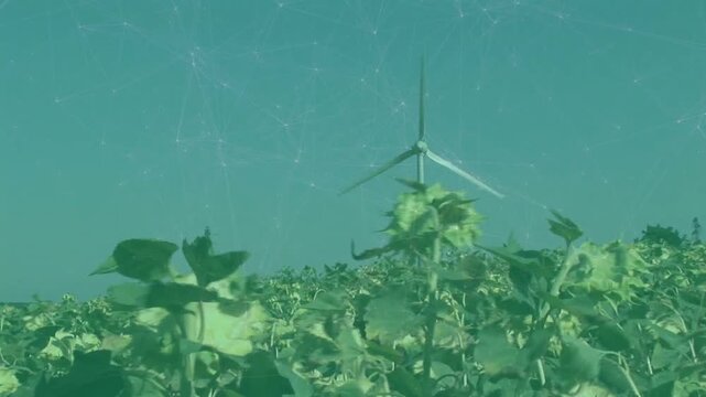 Animation of network of connections over windmills