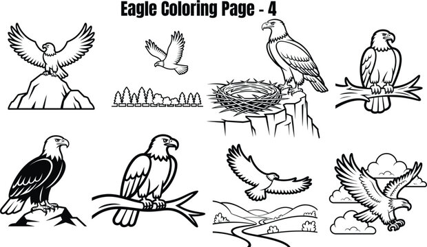Eagle for coloring eagles birds flying perched