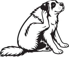 Saint Bernard Sitting Scratching Ear Black and White Line Art Vector Illustration