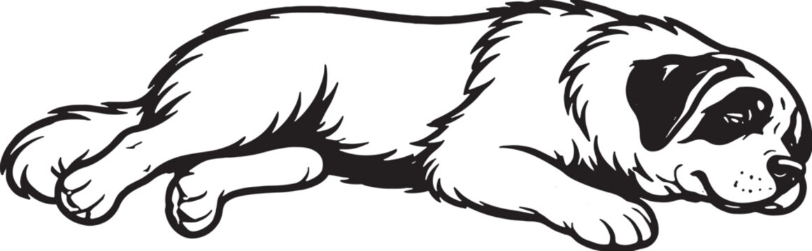 Saint Bernard Sleeping On Side Relaxed Black and White Line Art Vector Illustration