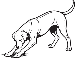 Fototapeta premium Rhodesian Ridgeback Digging Action Black and White Line Art Vector