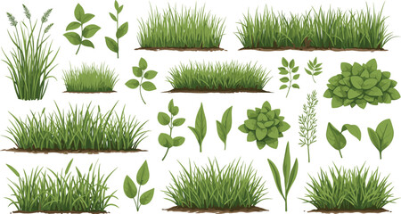 Green Grass Borders and Garden Plants Vector Set with Realistic Meadow Tufts, Leaves, and Foliage Elements for Landscape Design and Summer Nature Backgrounds © Rafikul