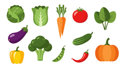 Fototapeta premium Colorful vegetables illustration on white background