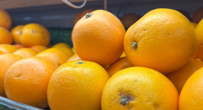 Oranges are the fruit of the citrus species in the Rutaceae family. The term "orange" generally refers to Citrus &times; sinensis, also called the sweet orange, and Citrus aurantium, also called the bitter 