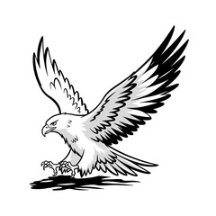 Obraz premium Eagle flying with spread wings in detailed monochrome illustration 