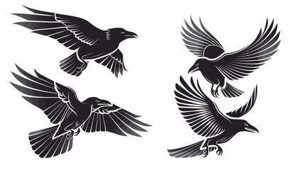 Fototapeta premium Four black bird illustrations, with dark feathers spread in mid-flight on a white background