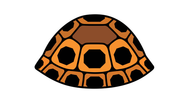 Turtle Shell Vector Illustration, Flat Design, Isolated on White, Graphic Resource